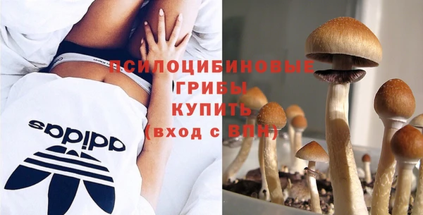 шишки Алексин