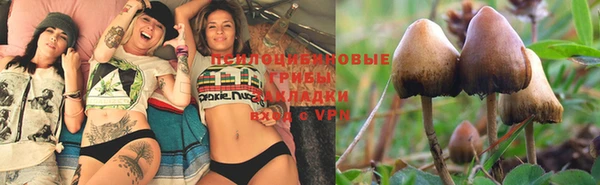 синтетический гашиш Заволжск