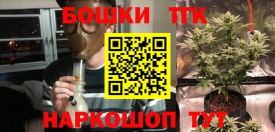 прущие грибы Керчь